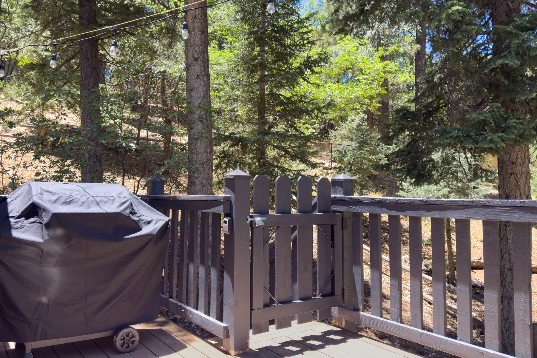 Propane BBQ grill on the deck at Pine Grove Cabin, surrounded by pine trees